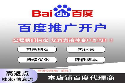 某企业SEM广告投放的ROI提升策略及效果展示